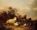 Bélgica Verboeckhoven Eugene ovejas con corderos y aves de corral descansando en un paisaje